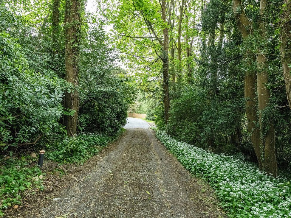 A gravel pathway lined with trees and bushes at Snowdonia Manor in Dolgellau