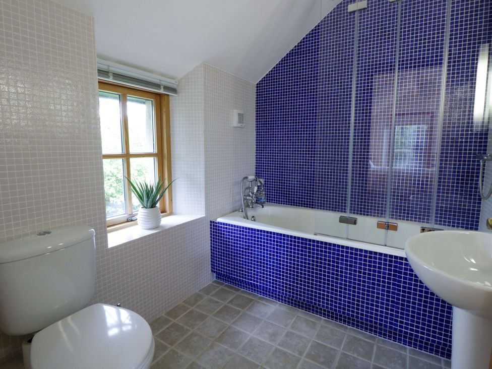 A bathroom with a bathtub and toilet at Bryn Isaf in Swyddffynnon near Pontrhydfendigaid