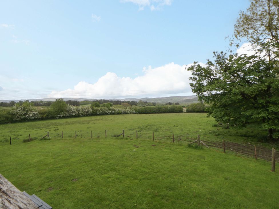 A field with grass and trees at Bryn Isaf in Swyddffynnon near Pontrhydfendigaid