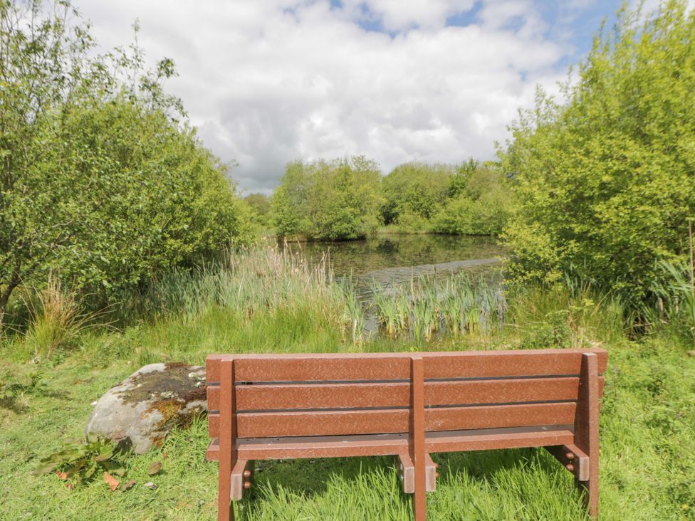 A bench facing a pond surrounded by trees at Ty Cellin in Swyddffynnon near Pontrhydfendigaid