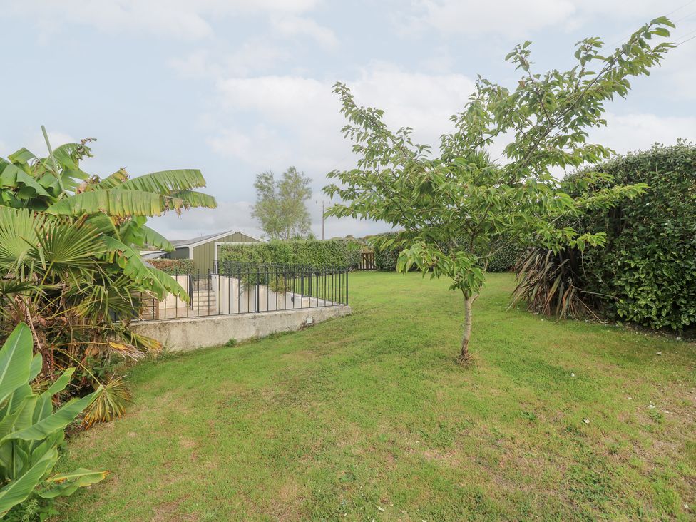 A garden with a tree, lawn, and a fence at Mys Hedra Farm in St Buryan