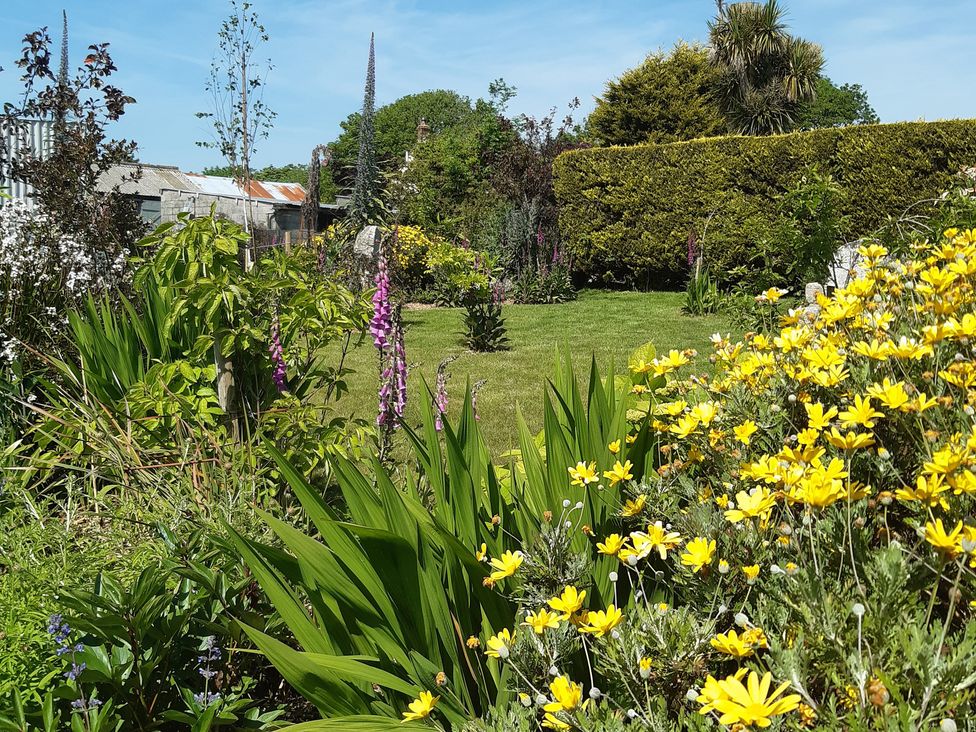 A garden with various flowers and grass at Higher Merther Farm Shepherds Hut in Sithney near Helston