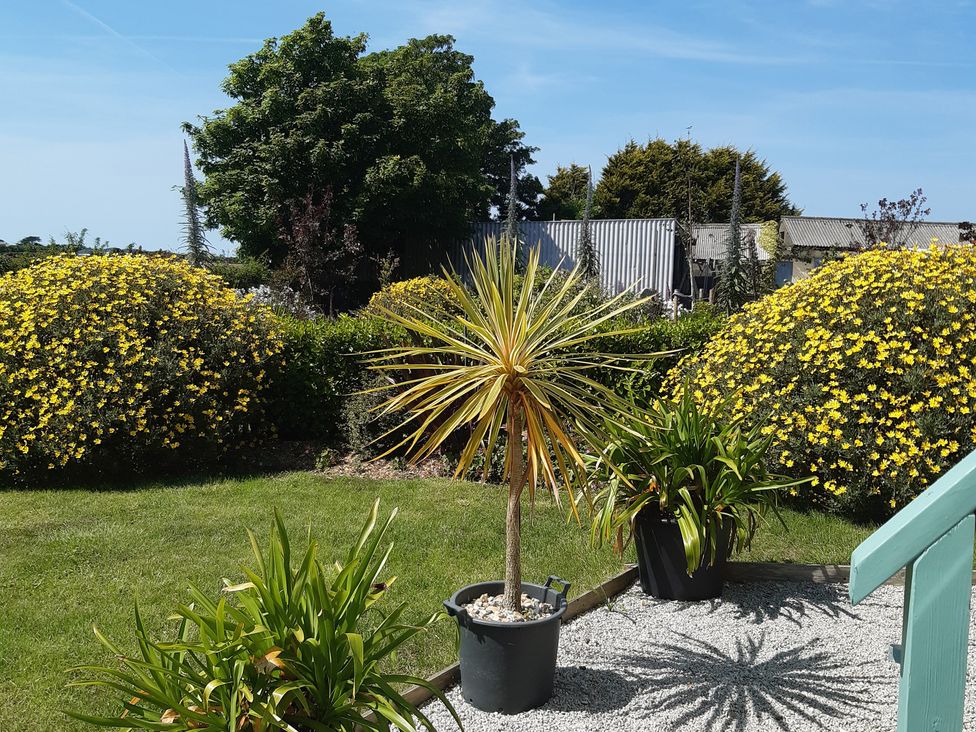 A garden with a potted plant and yellow flowers at Higher Merther Farm Shepherds Hut Sithney near Helston