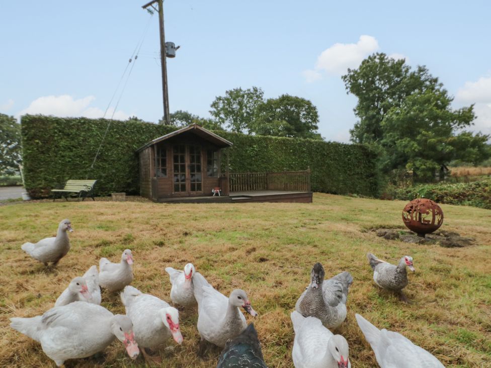 Bellmanear Farm Cottage - Yorkshire Dales - 1160988 - thumbnail photo 27