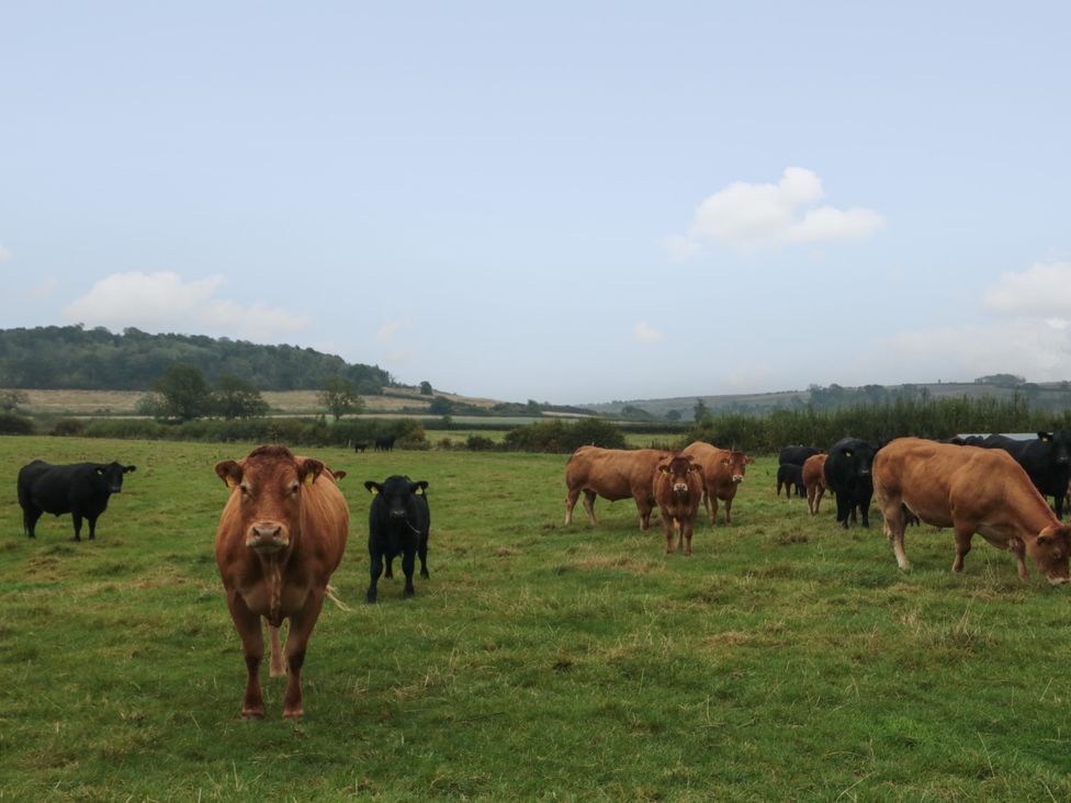 Bellmanear Farm Cottage - Yorkshire Dales - 1160988 - thumbnail photo 30