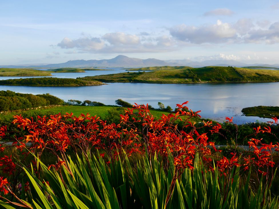 Lighthouse Hill - Westport & County Mayo - 1161045 - thumbnail photo 48