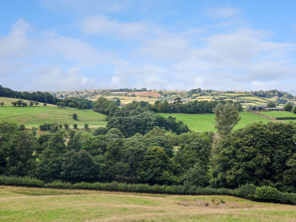 Wayside - North Yorkshire (incl. Whitby) - 1161332 - thumbnail photo 50