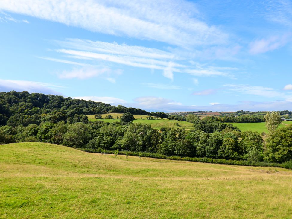 Wayside - North Yorkshire (incl. Whitby) - 1161332 - thumbnail photo 52