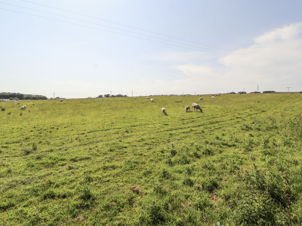 A field with sheep grazing at 10 Keekle Terrace Cleator Moor