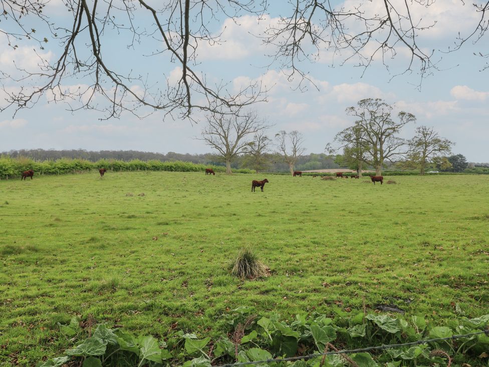Old Mill House -  - 1161454 - thumbnail photo 24