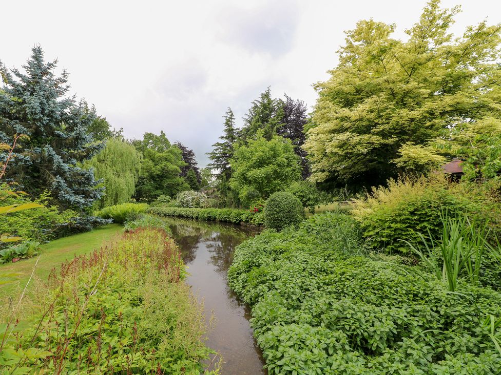 A garden with a stream and greenery at Old Mill House in Cuckney