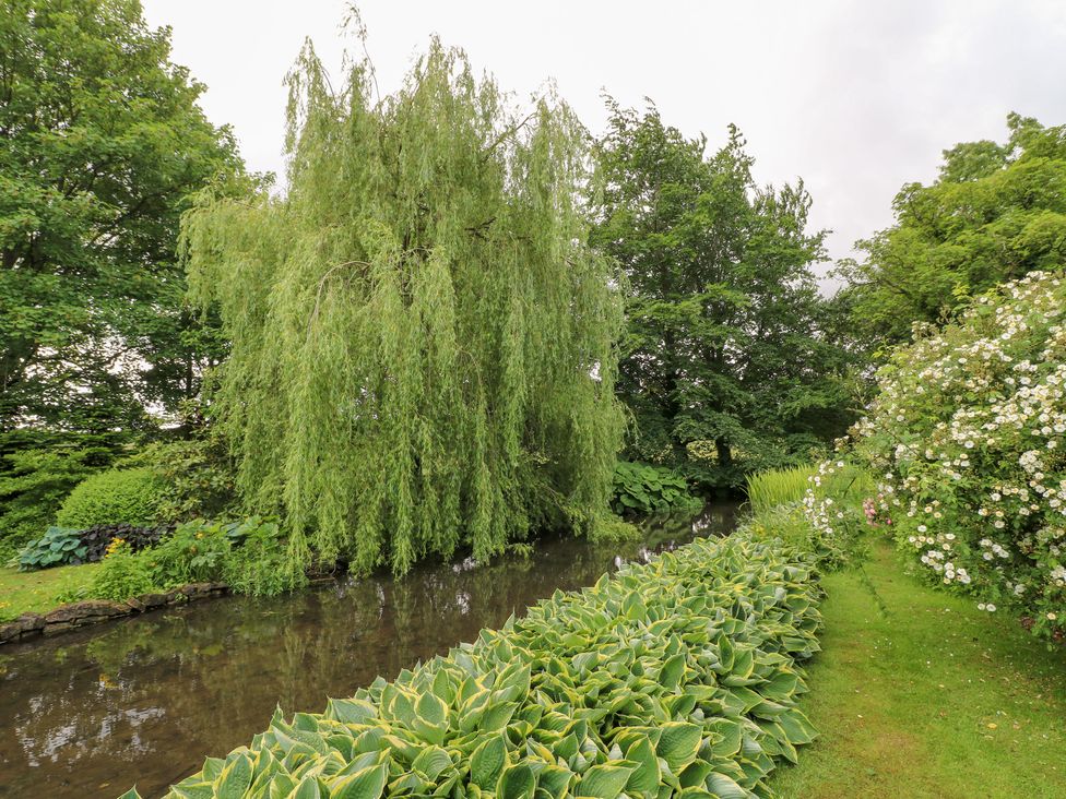 A garden with a stream and a willow tree at Old Mill House in Cuckney