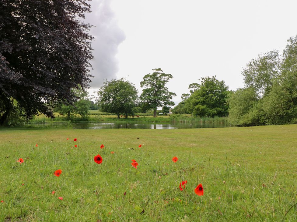 A view of trees and poppies near a pond at Old Mill House in Cuckney