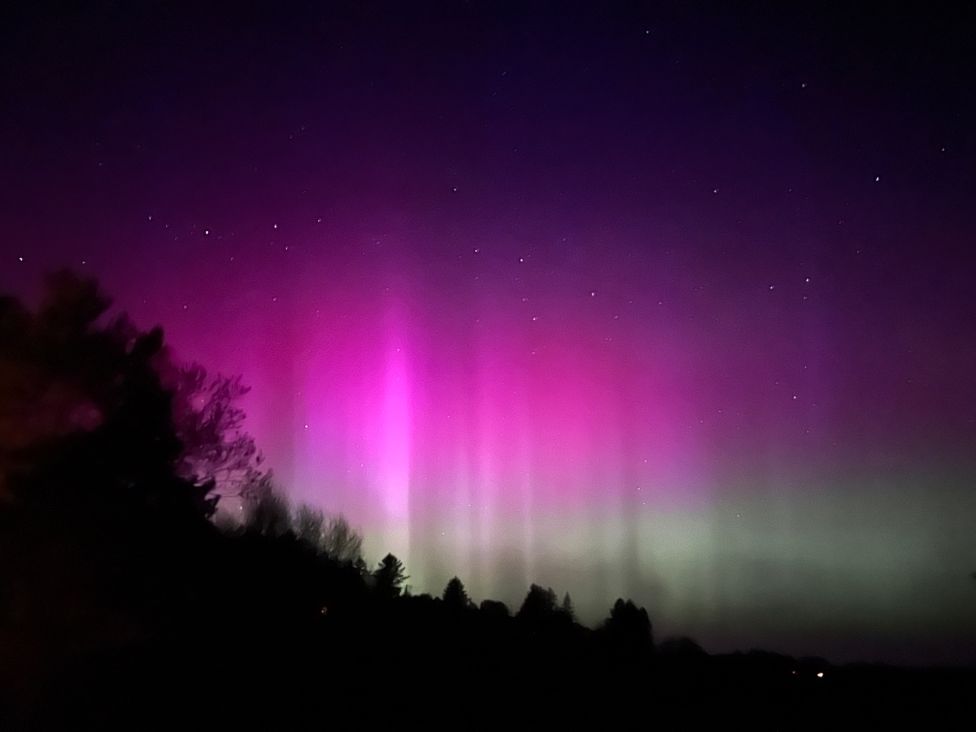 A night sky with purple and green aurora and stars over tree silhouettes at Calmdale in Inverasdale near Poolewe