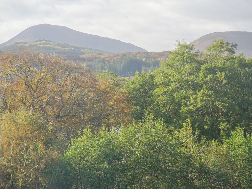 Shepherd’s Cottage - Scottish Highlands - 1161613 - thumbnail photo 16