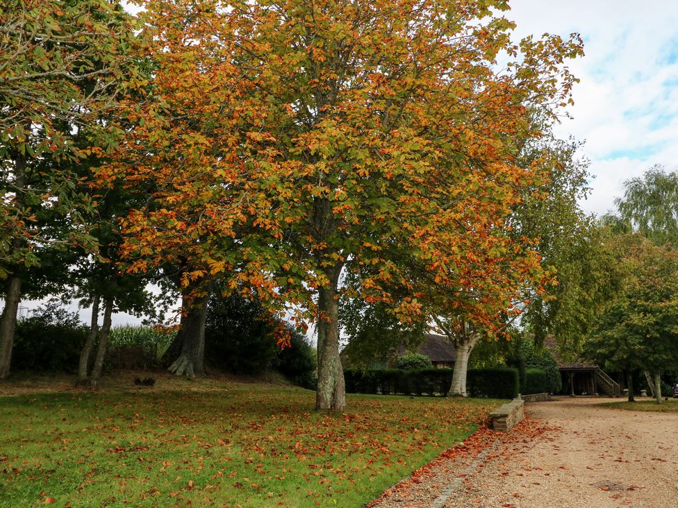 Tygalls Farm - Kent & Sussex - 1161638 - thumbnail photo 32