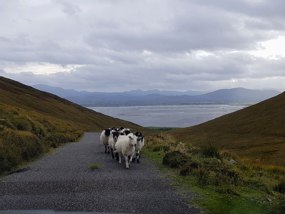 Knockbrack - County Kerry - 1161772 - thumbnail photo 69