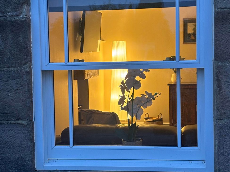 A living room with a window, sofa, lamp, and television at The Coach House in Holloway
