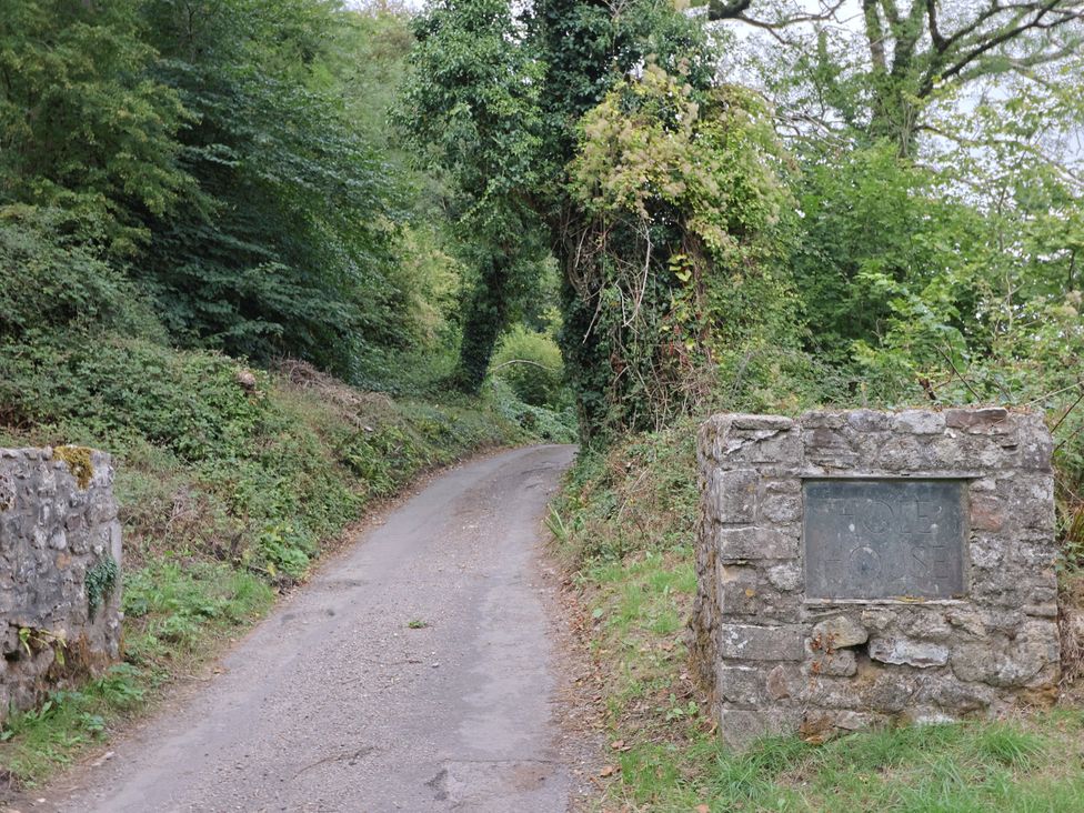 A roadway surrounded by trees and a stone wall at Hole House in Branscombe