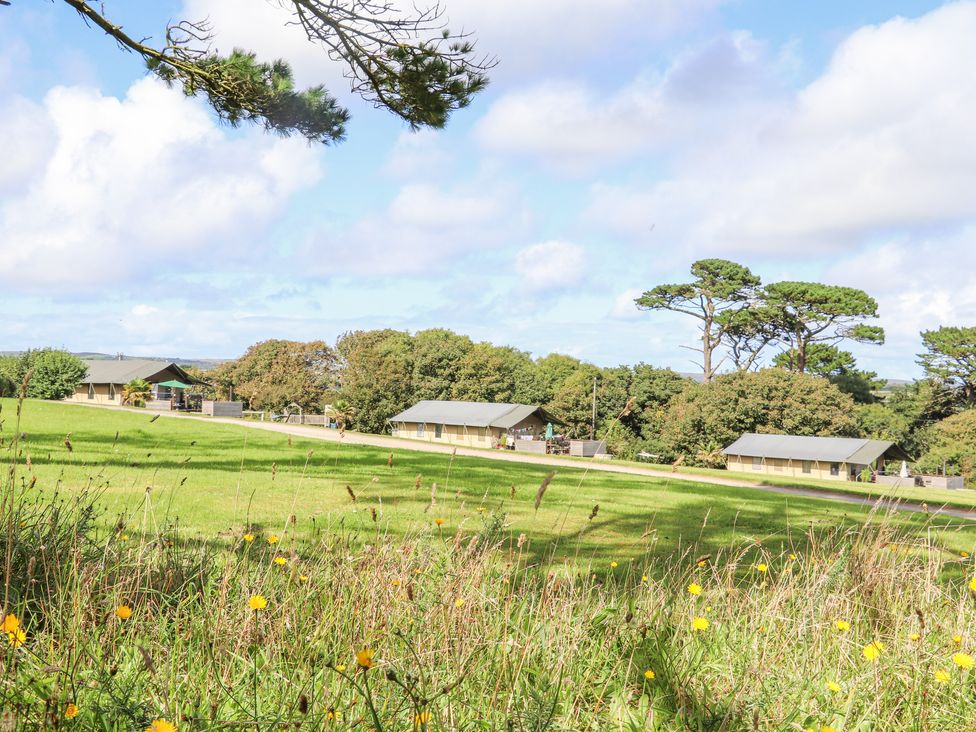 Bluebell - Cornwall - 1161917 - thumbnail photo 48