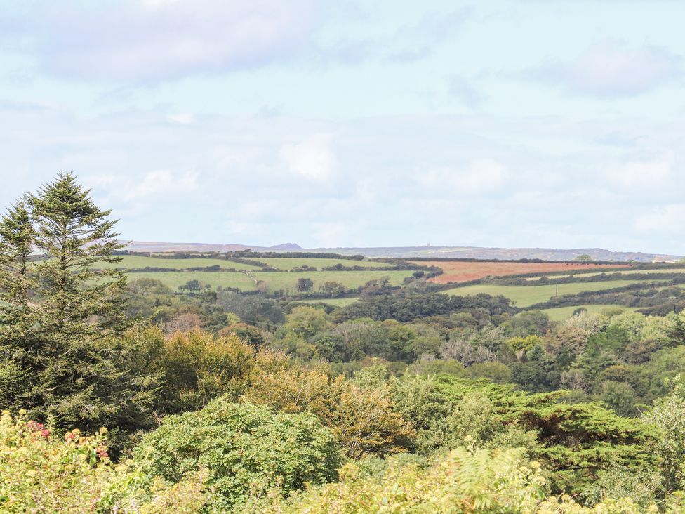 Bluebell - Cornwall - 1161917 - thumbnail photo 50