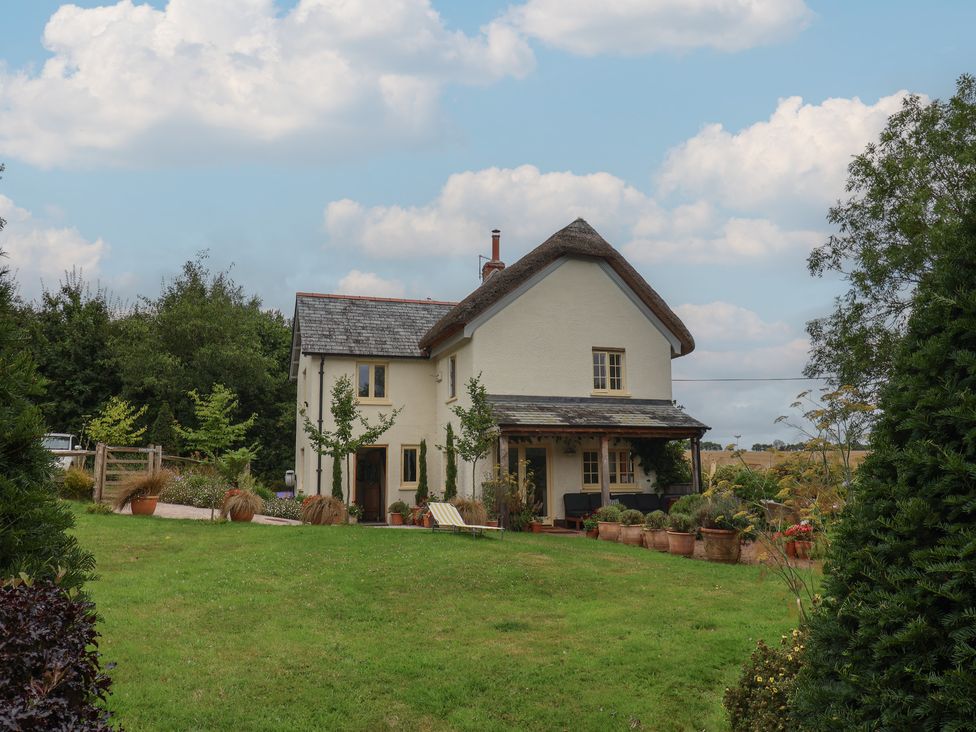 Dancing Hill Cottage - Devon - 1162008 - thumbnail photo 24