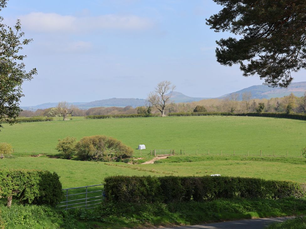 A field with trees and a shed at Horseshoe Cottage Ingleby Greenhow near Great Ayton