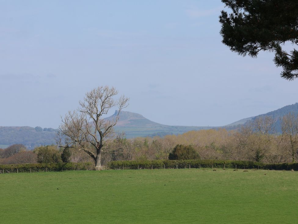 A landscape with a tree and hills at Horseshoe Cottage Ingleby Greenhow near Great Ayton
