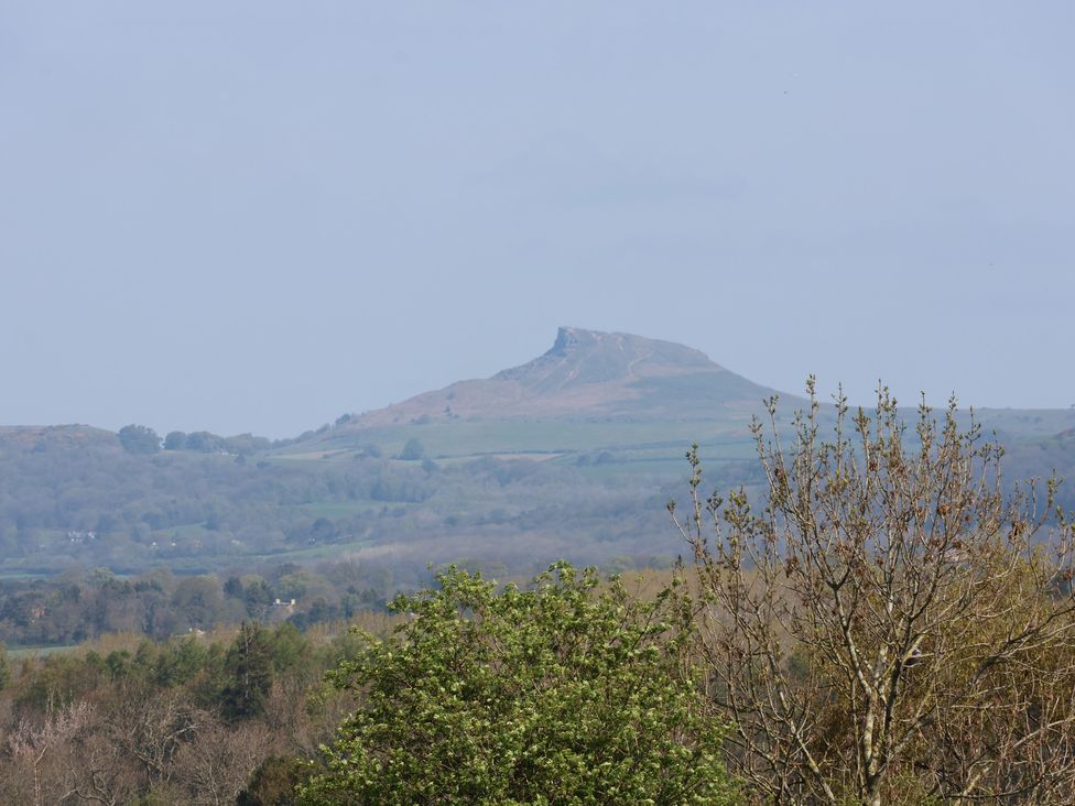 A view of a hill with trees in the foreground at Horseshoe Cottage Ingleby Greenhow near Great Ayton