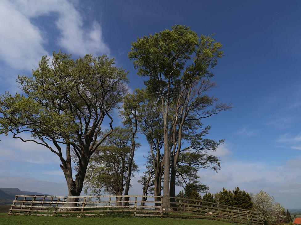 A view of trees and a wooden fence at Horseshoe Cottage Ingleby Greenhow near Great Ayton