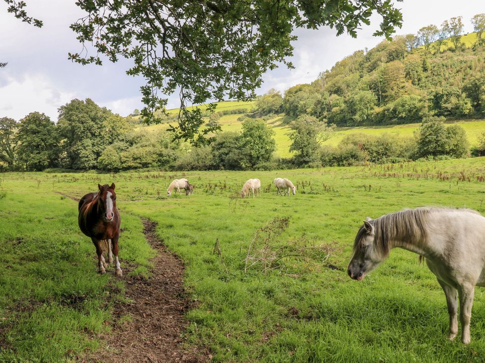 Little Pale - South Wales - 1162230 - thumbnail photo 49