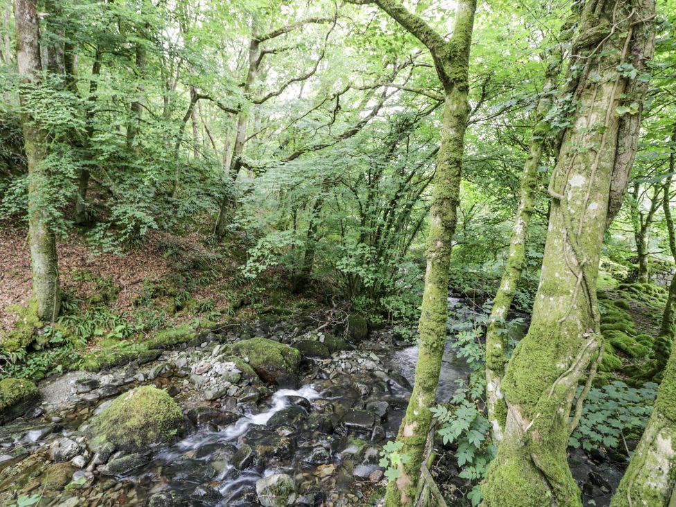 A stream flowing through a forest with trees and rocks at Frongoch Old Power House in Dolgellau