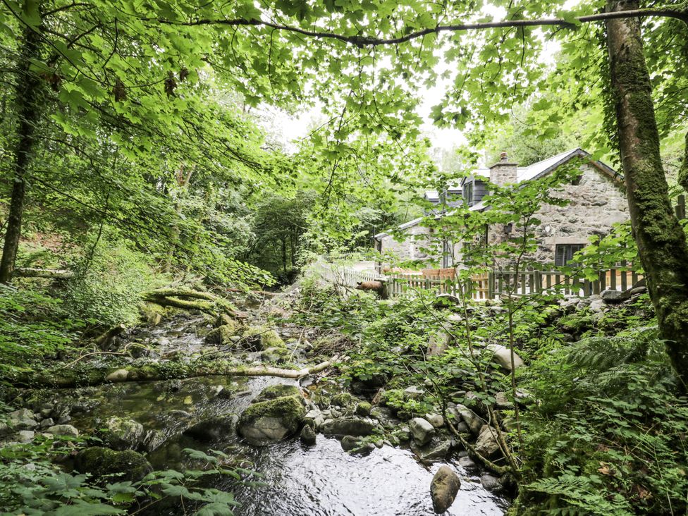 A house near a stream surrounded by trees at Frongoch Old Power House in Dolgellau
