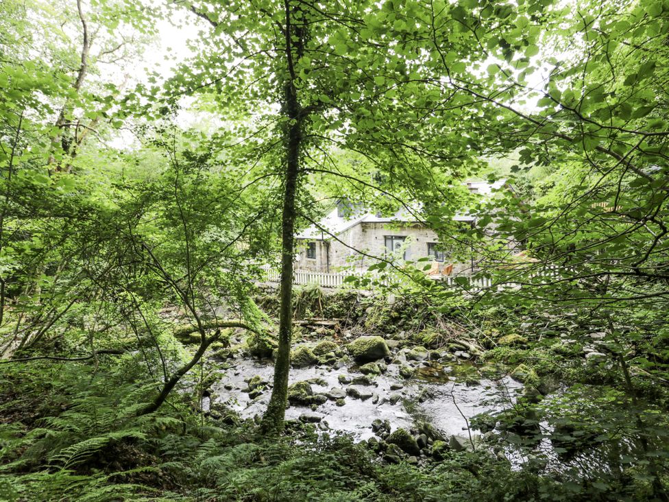 A house surrounded by trees and a stream at Frongoch Old Power House in Dolgellau