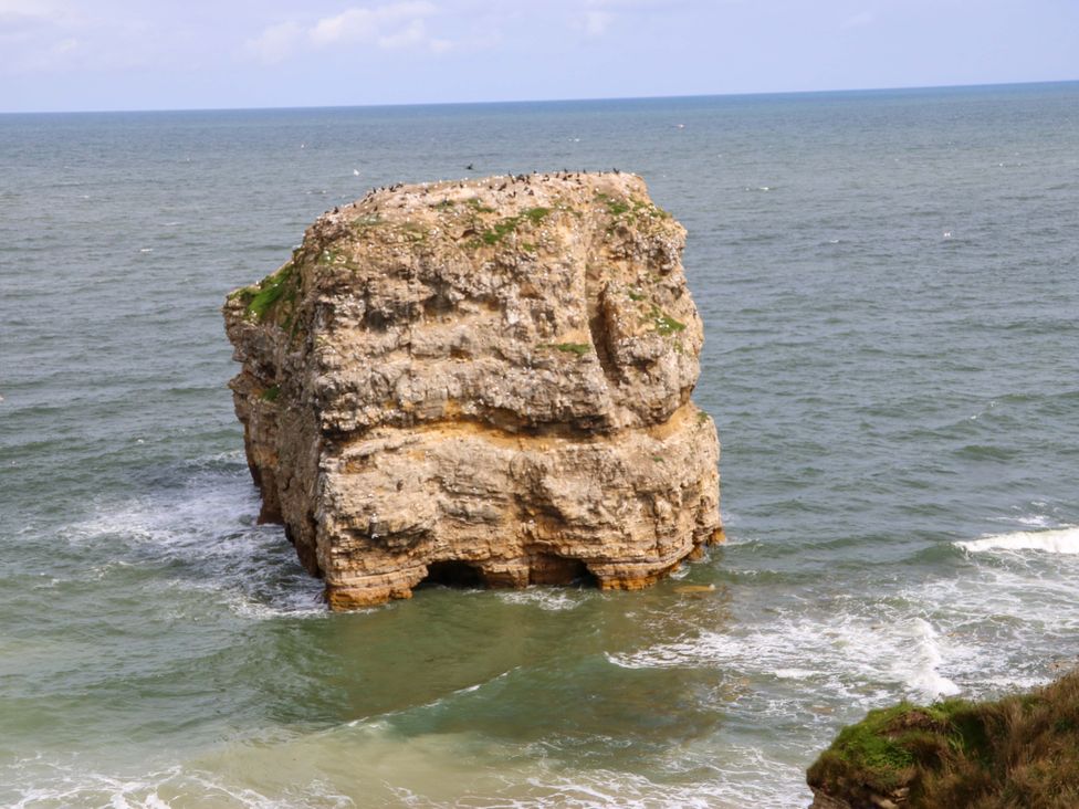 A rock formation on the sea at 8 Percy Terrace in Whitburn