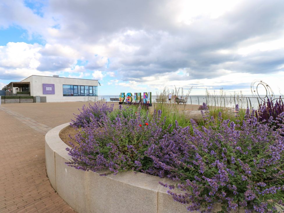 An outdoor area with a building and flower bed at 8 Percy Terrace in Whitburn