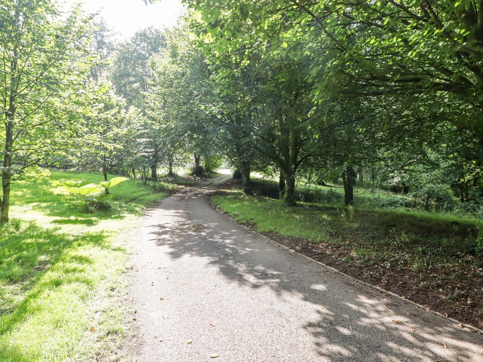 Meadow Cottage - South Wales - 1162283 - thumbnail photo 47