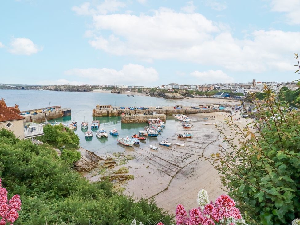 A view of boats in a harbor at Beach View House in Newquay