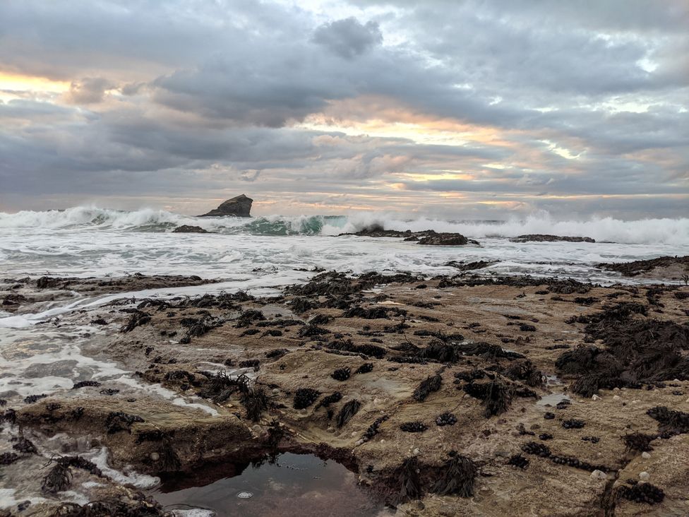A rocky beach with waves and seaweed at Fairwinds Portreath