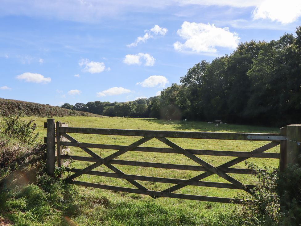 Shepherds Joy - Devon - 1162533 - thumbnail photo 23