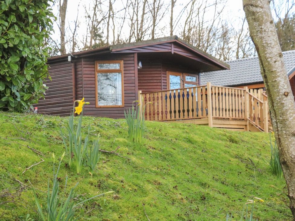 Park View Lodge, Arnside 7 - Lake District - 1162544 - thumbnail photo 2