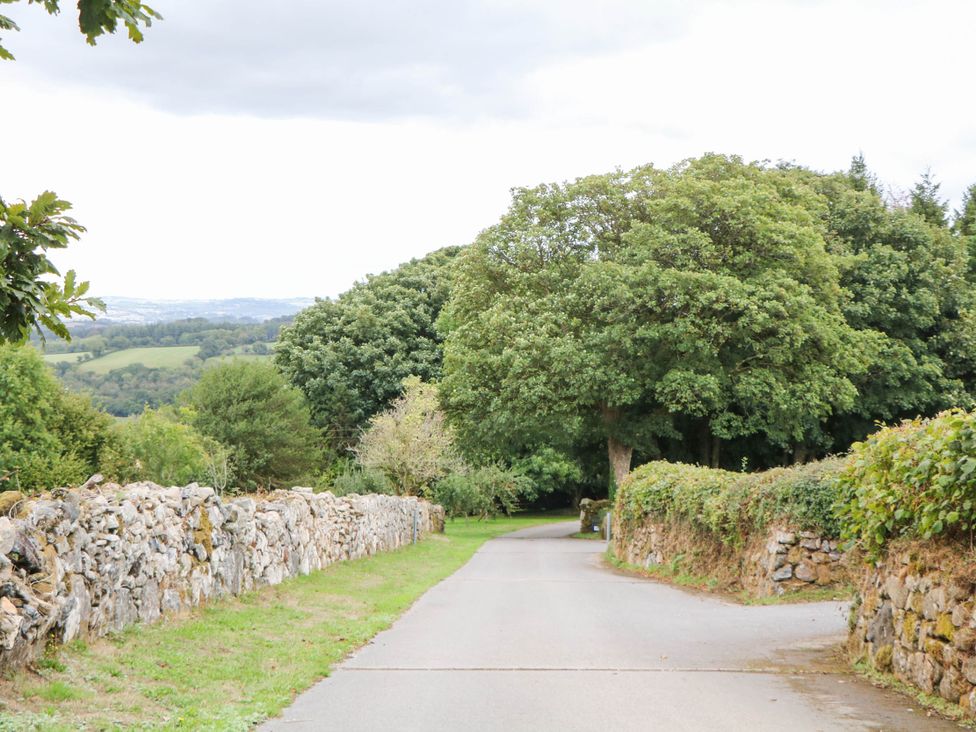 A road lined with trees and stone walls at Halshanger Barn Newton Abbot