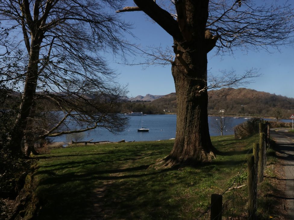 A path leading to a lake with a boat near a tree at The Wonky Nest in Bowness-On-Windermere