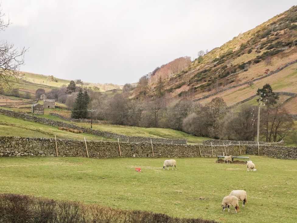 Kearton Shunner Fell - Yorkshire Dales - 1162644 - thumbnail photo 13