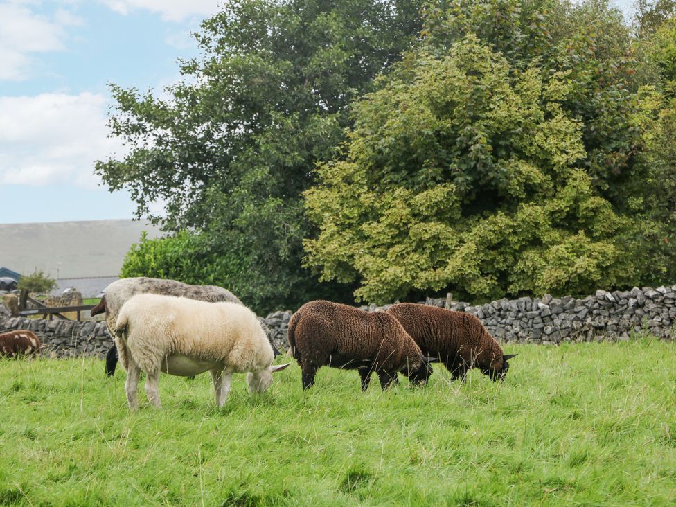 Courtyard Cottage - Peak District & Derbyshire - 1162718 - thumbnail photo 38