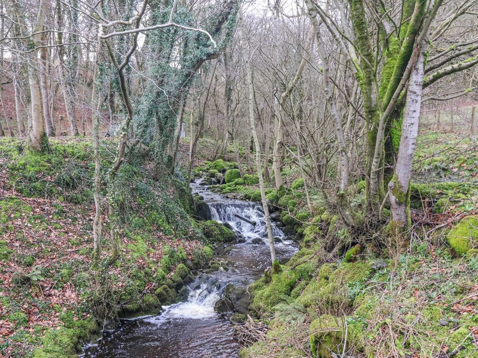 A stream flowing through trees and rocks at Virginia Cottage in Hetton