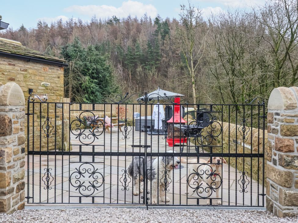 An outdoor area with two dogs near a gate at Beckside in Skipton