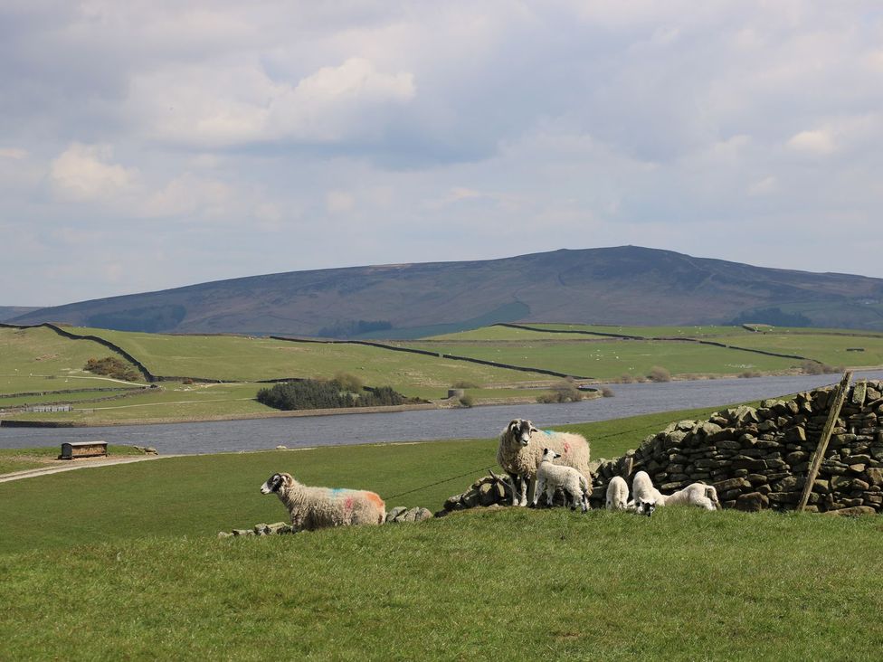 Moorlands Manor - Yorkshire Dales - 1163100 - thumbnail photo 42