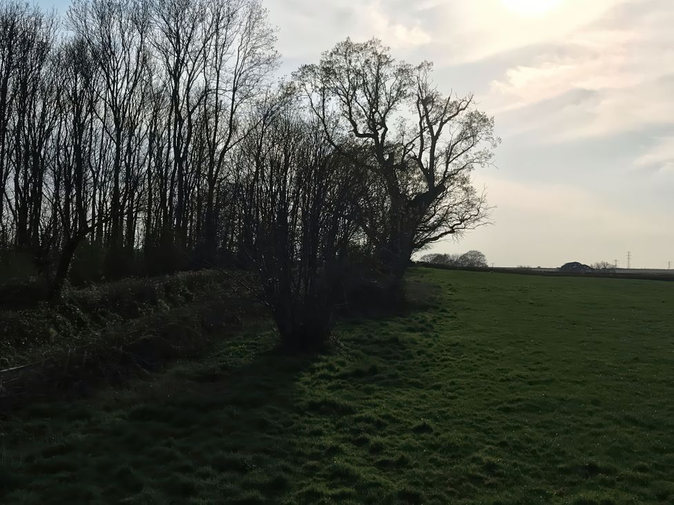 Middle Lodge - Somerset & Wiltshire - 1163461 - thumbnail photo 33