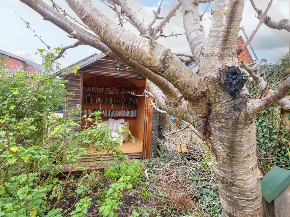 A garden with a shed and bookshelves at Garden Retreat in Swanage